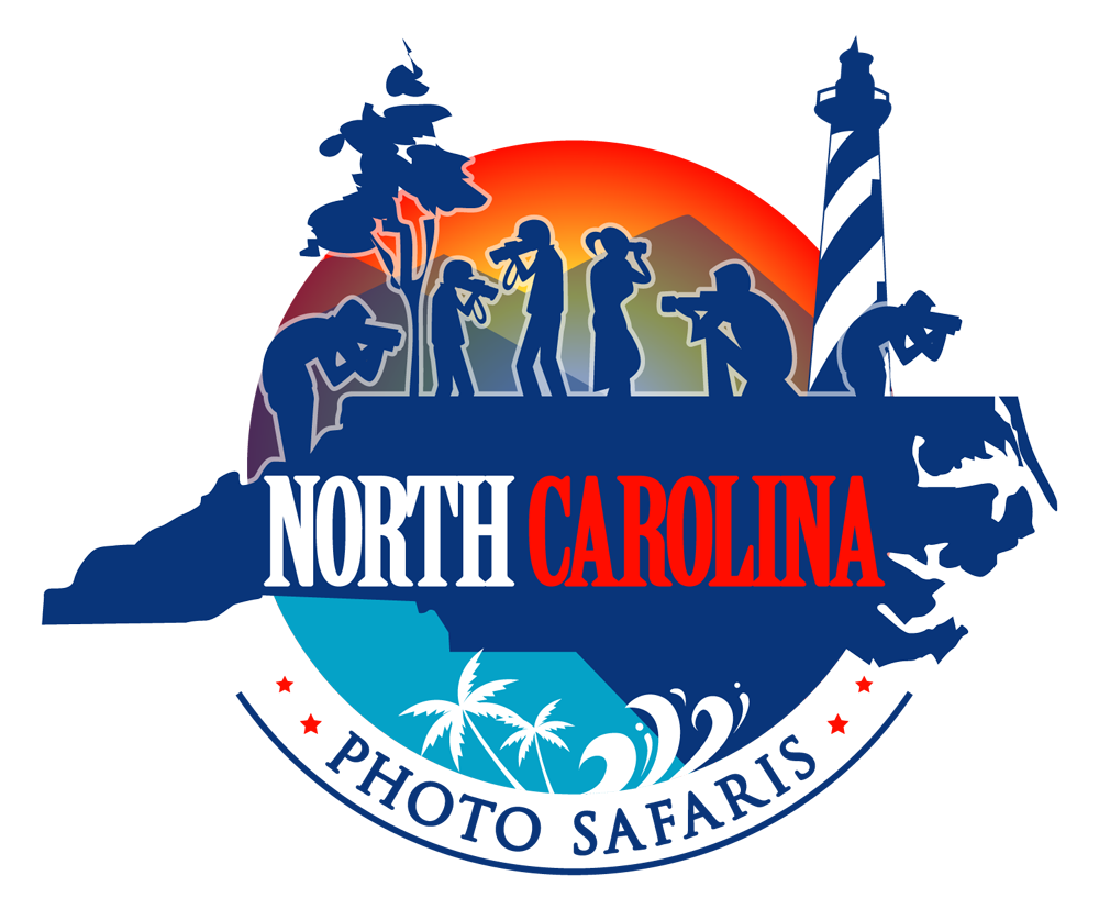 i love free templates...